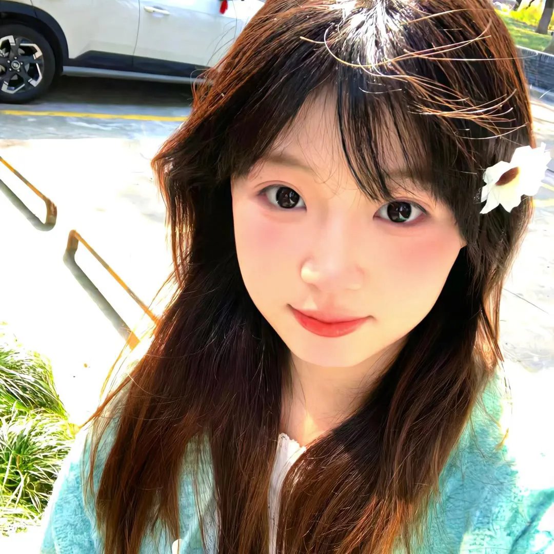 花系列：一